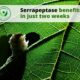 Serrapeptase health benefits in just two weeks