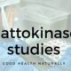 What Are the Benefits and Side Effects of Nattokinase?