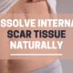 Dissolve internal scar tissue naturally