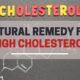 Natural remedy for high cholesterol