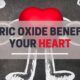 Healthy Heart: The Role of Nitric Oxide