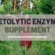 The Ultimate Guide to Taking Proteolytic Enzyme Supplements