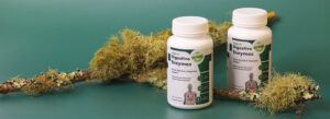 Digestive Enzyme Supplements